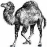 Perl Programming Language